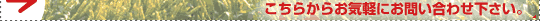 �����炩�炨�C�y�ɂ��₢���킹�������B